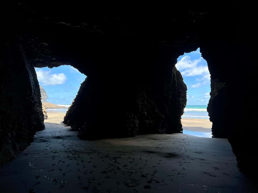 From Auckland: Guided Tour of Piha with Scenic Beach Walks - Snacks, a picnic, and an optional swim