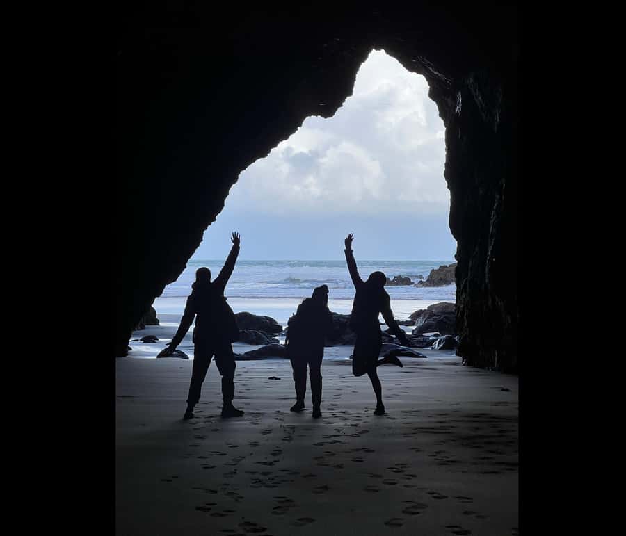 From Auckland: Guided Tour of Piha with Scenic Beach Walks - How demanding is the walking?