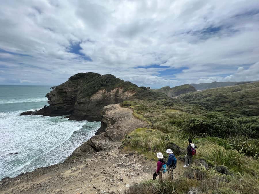 From Auckland: Guided Tour of Piha with Scenic Beach Walks - Value, timing, and who should book