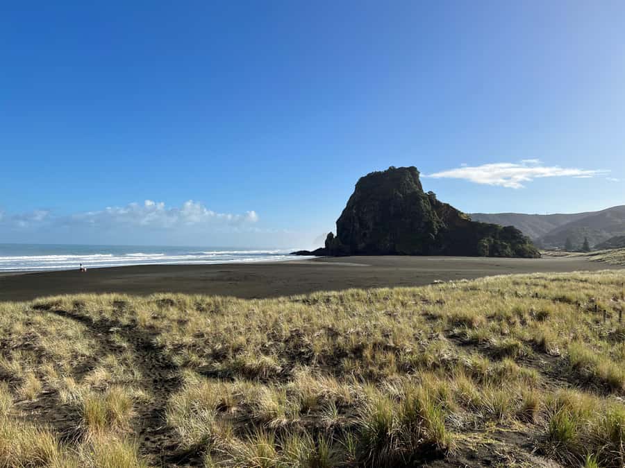 From Auckland: Guided Tour of Piha with Scenic Beach Walks - Meeting in Auckland and heading through the Waitakere Ranges