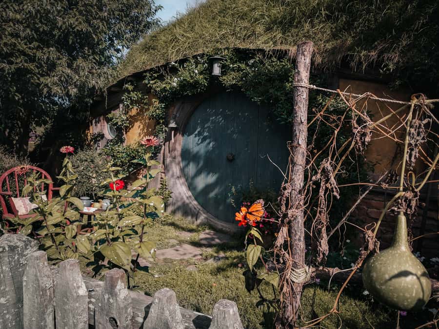 From Auckland: Hobbiton Afternoon Tour - Why the 11am start changes the day