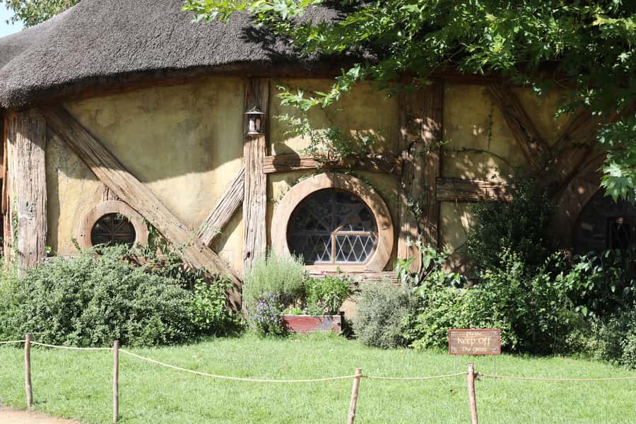 From Auckland: Hobbiton Afternoon Tour - Waikato farms, cattle country, and the road south