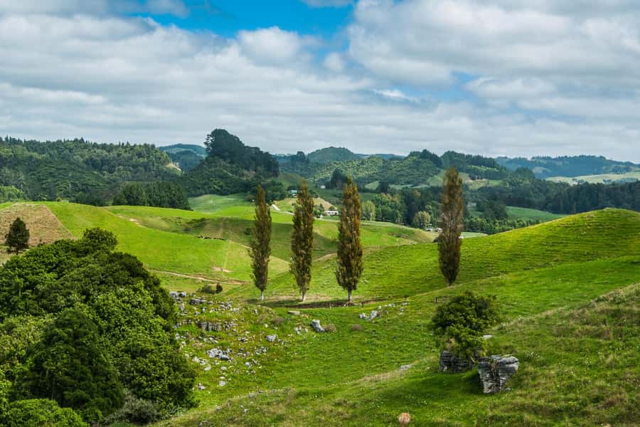 From Auckland: Hobbiton and Waitomo Day Tour with Lunch - Why this pairing works so well