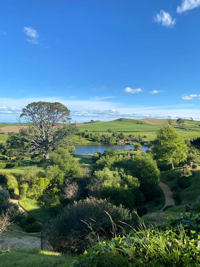From Auckland: Hobbiton & Hamilton Gardens Small Group Tour - Is $209 a fair price?