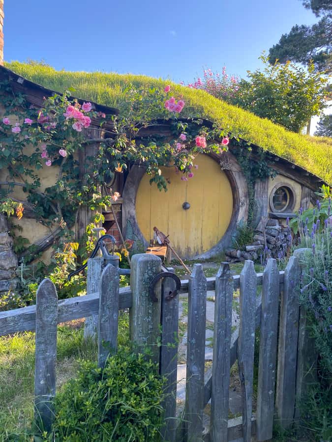 From Auckland: Hobbiton & Hamilton Gardens Small Group Tour - Should you book this Auckland day trip?