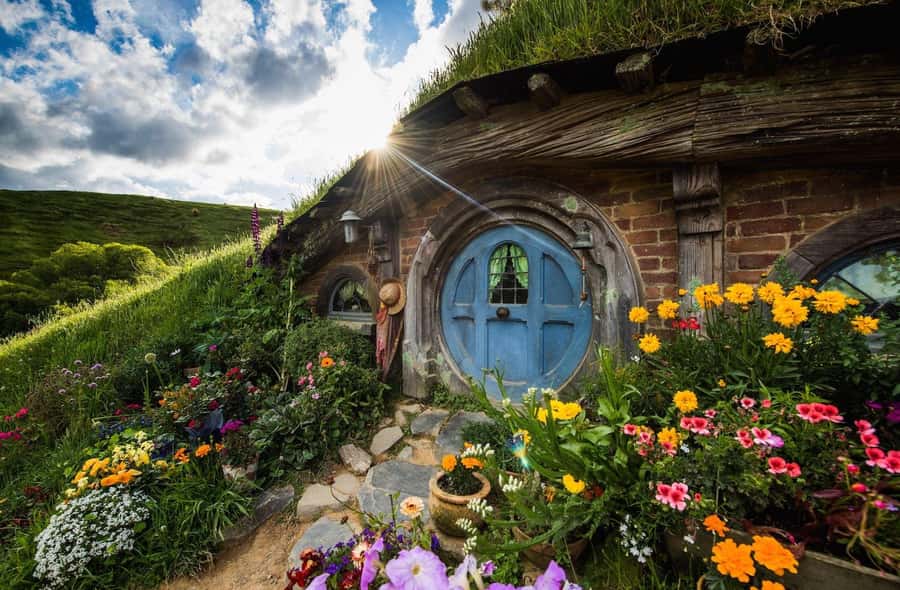 From Auckland: Hobbiton Movie Set Day Tour with Picnic Lunch - Why the small-group format matters