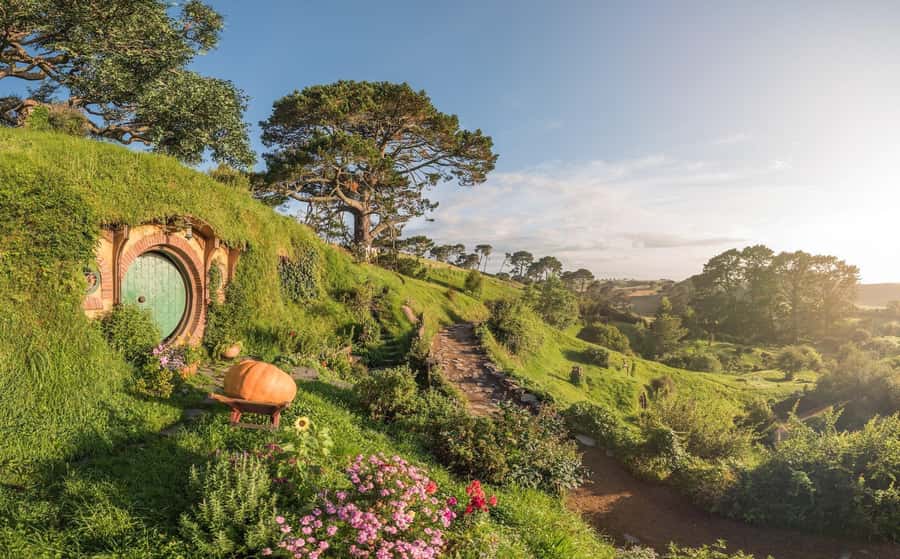 From Auckland: Hobbiton Movie Set Day Tour with Picnic Lunch - Arriving at Alexander Farm and Shire’s Rest