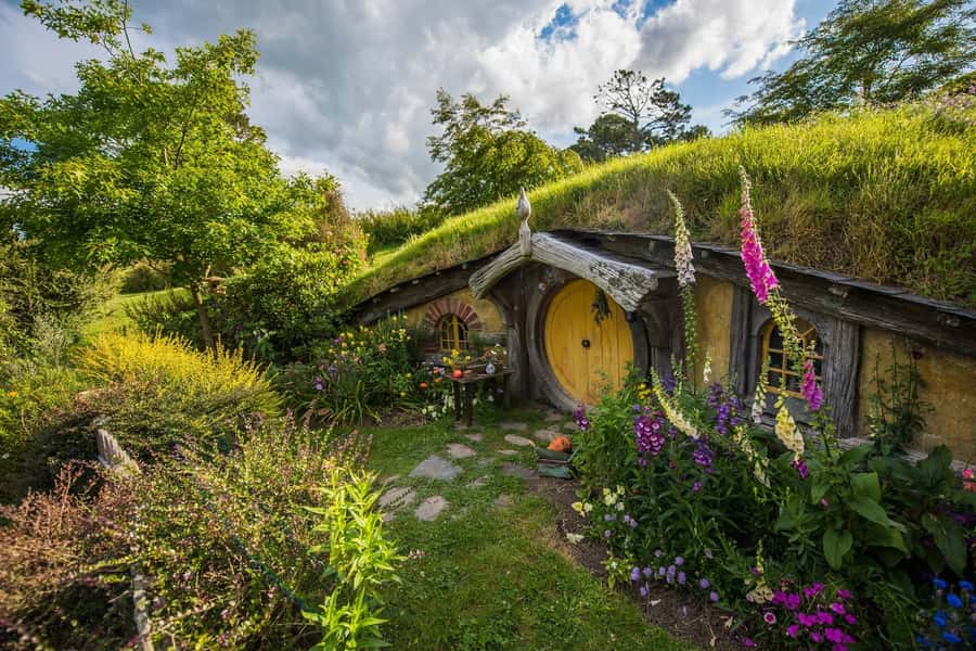 From Auckland: Hobbiton Movie Set Full-Day Small-Group Trip - Walking through 44 Hobbit Holes