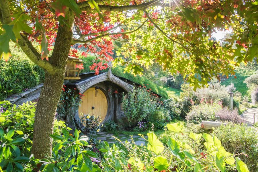 From Auckland: Hobbiton Movie Set Small Group Tour - The long road from Auckland to Middle Earth
