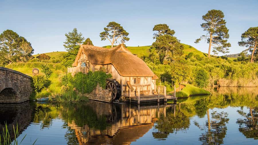 From Auckland: Hobbiton Movie Set Small Group Tour - Is $176 good value?