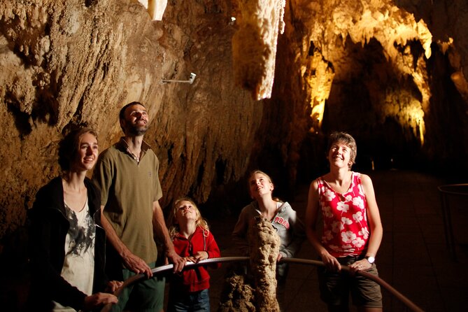 From Auckland:Hobbiton Movie Set & Waitomo Caves Small Group Tour - The Auckland pickup and the long road south