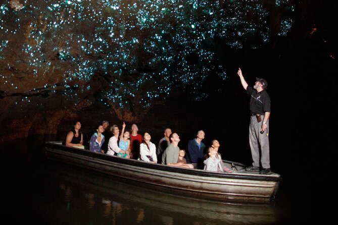 From Auckland:Hobbiton Movie Set & Waitomo Caves Small Group Tour - Lunch near Waitomo before Hobbiton