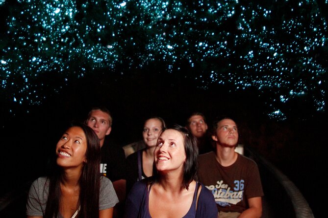 From Auckland:Hobbiton Movie Set & Waitomo Caves Small Group Tour - What the $257.54 price really covers