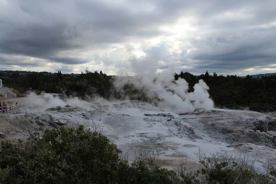 From Auckland: Hobbiton & Rotorua Tour with Lunch at Te Puia - Should you book the Hobbiton and Te Puia tour?