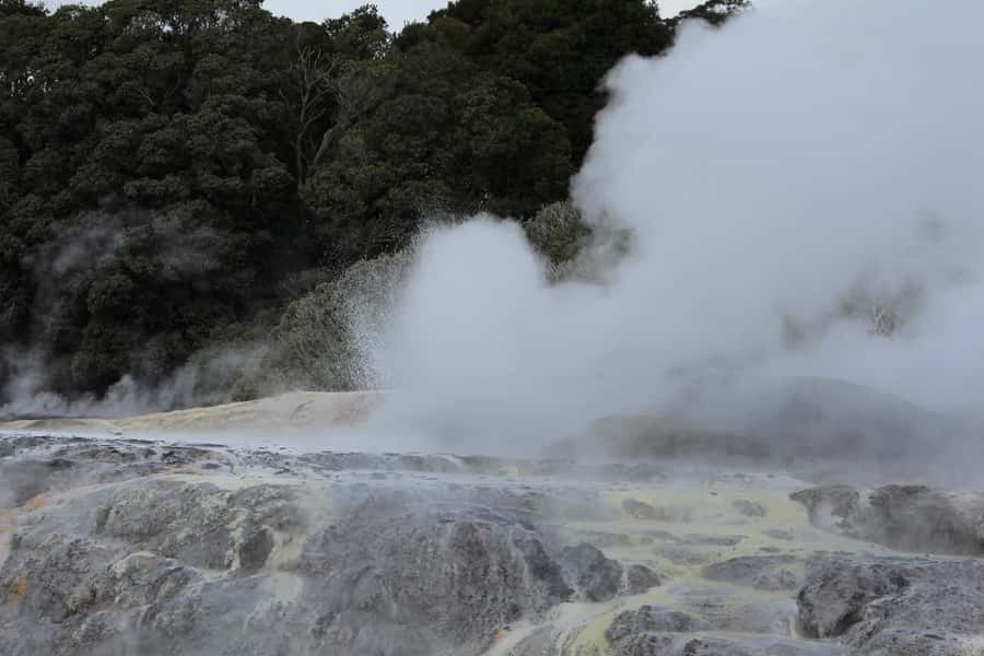 From Auckland: Hobbiton & Rotorua Tour with Lunch at Te Puia - What the included buffet lunch is really worth