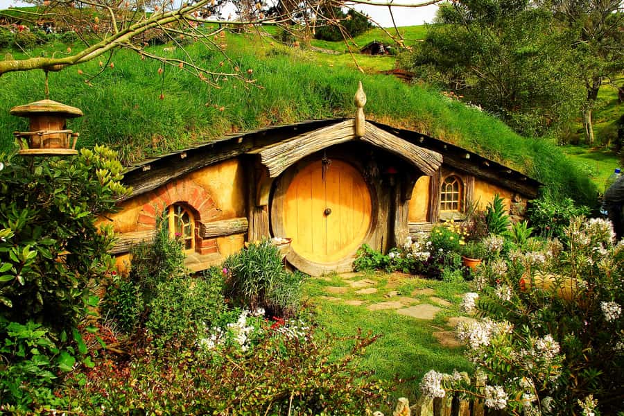 From Auckland: Hobbiton & Rotorua Tour with Lunch at Te Puia - The return to Auckland, or a useful Rotorua drop-off