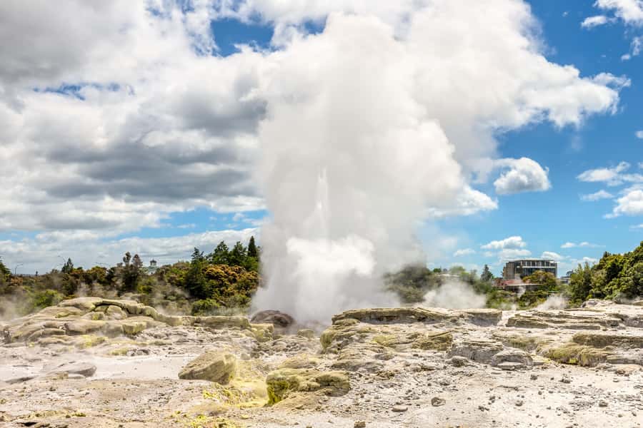 From Auckland: Hobbiton & Rotorua Tour with Lunch at Te Puia - Who will enjoy this long day most