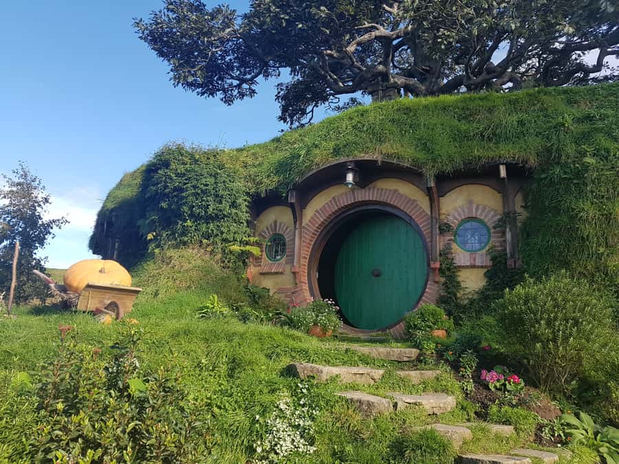 From Auckland: Hobbiton & Rotorua Tour with Lunch at Te Puia - The Auckland pickup and small-group ride