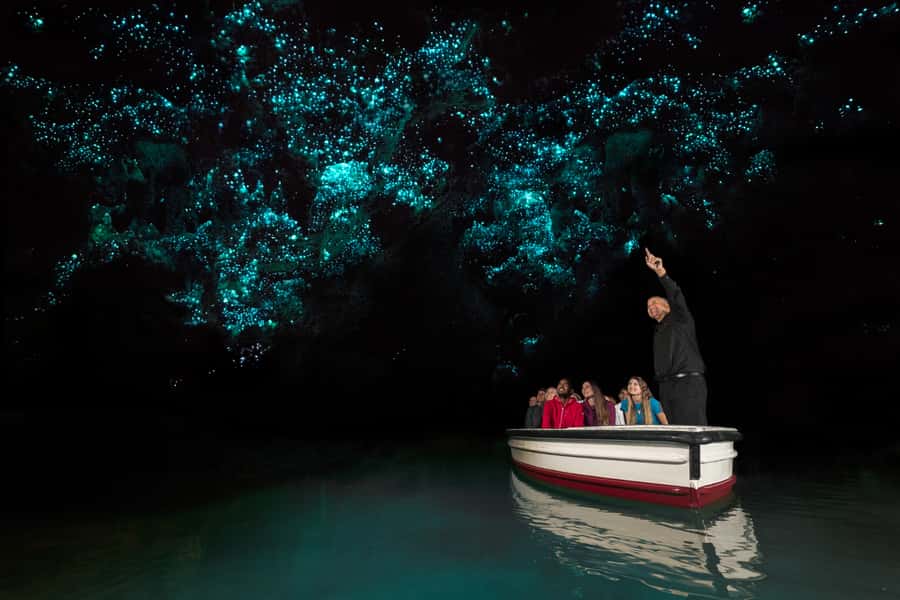From Auckland: Hobbiton & Waitomo Caves Day Trip with Lunch - Should you book it?