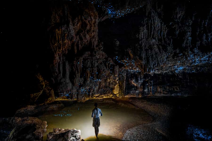 From Auckland or Rotorua: Hobbiton & Waitomo Tour with Lunch - Key points to know before booking