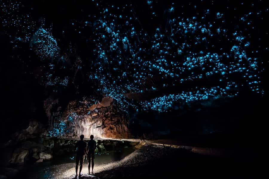 From Auckland or Rotorua: Hobbiton & Waitomo Tour with Lunch - Why this makes a strong North Island day trip