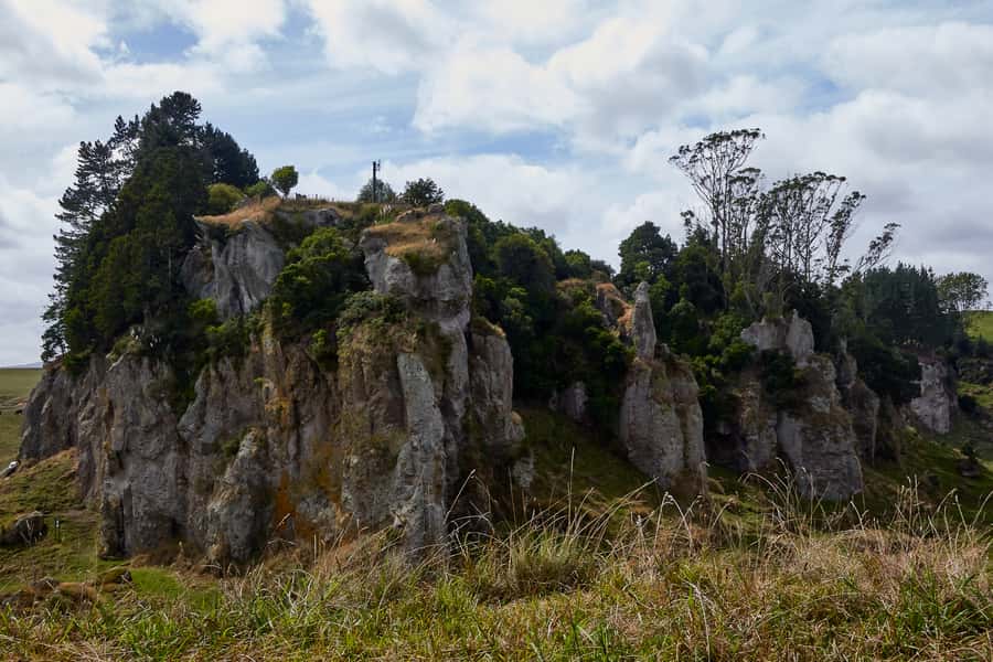 From Auckland or Rotorua: Hobbiton & Waitomo Tour with Lunch - Who will enjoy this tour most?