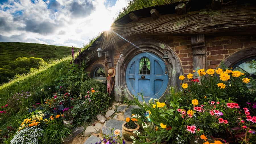From: Auckland: Rotorua via Hobbiton Tour One Way Tour - Why this Auckland to Rotorua transfer works so well