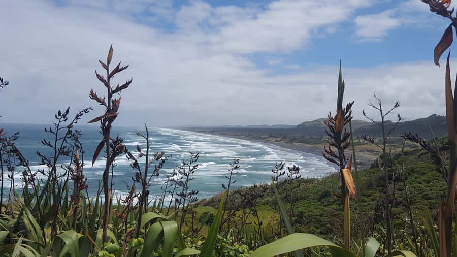 From Auckland: Small Group Kumeu Wine Tour with Lunch - Coopers Creek and a wider choice of wines