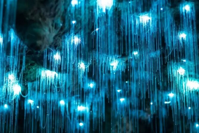 From Auckland: Spellbound, Waitomo Glowworm Cave Small Group Tour - The second cave: limestone, fossils, and formations