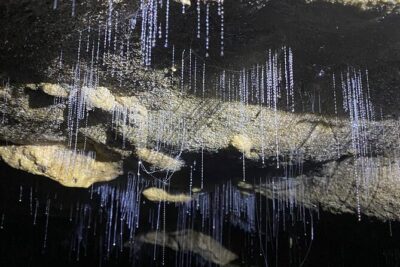 Spellbound, Waitomo Glowworm Cave Small Group Tour