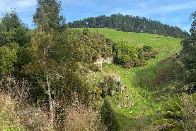 From Auckland: Spellbound, Waitomo Glowworm Cave Small Group Tour - The coffee break between cave visits