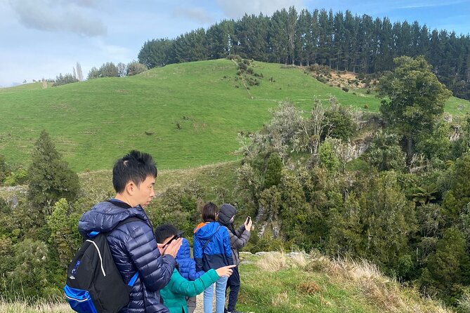 From Auckland: Spellbound, Waitomo Glowworm Cave Small Group Tour - Lunch in Otorohanga and the return drive