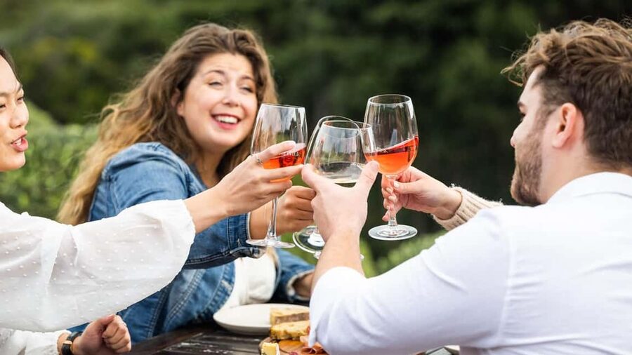 From Auckland: Taste Of Waiheke Island Day Tour - Timing, comfort, and practical details