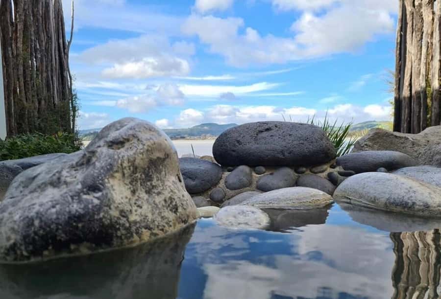From Auckland: Wai-O-Tapu & Polynesian Spa Rotorua Day Tour - A short look at Rotorua’s lakes and sights