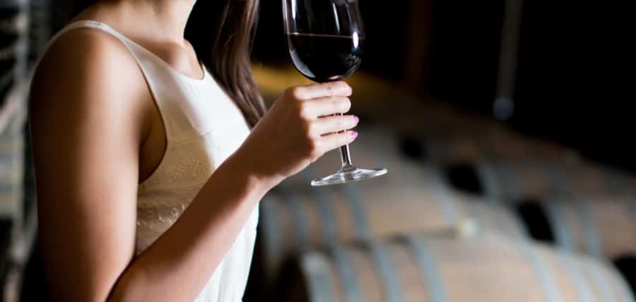 From Auckland: Waiheke Island Wineries' Tour - A Small Van and a More Personal Day