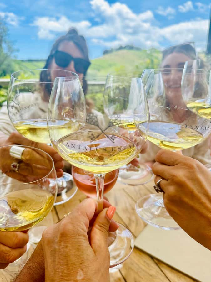 From Auckland: Waiheke Island Wineries' Tour - Lunch at a Vineyard, Brewery, or Island Venue