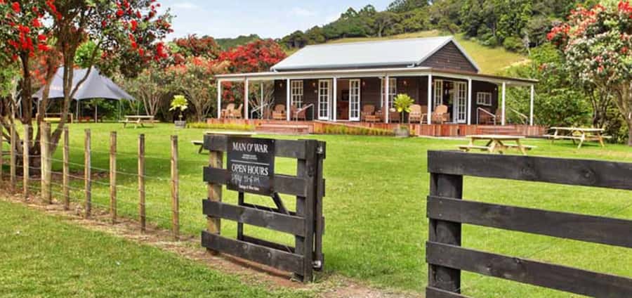 From Auckland: Waiheke Island Wineries' Tour - The Guides Are a Big Part of the Experience