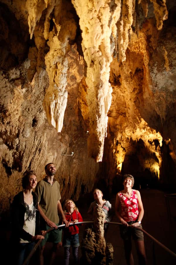From Auckland: Waitomo Caves and Kiwi House Group Tour - The return journey and the reality of a nine-hour day