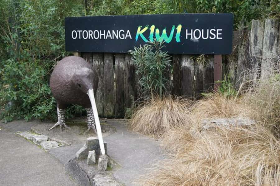 From Auckland: Waitomo Caves and Kiwi House Group Tour - Is the $209 price good value?