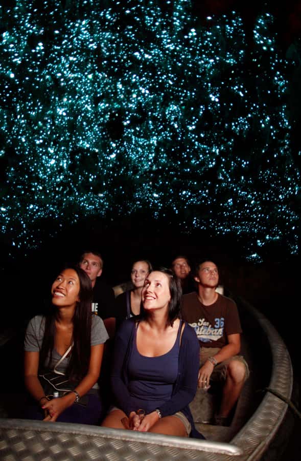 From Auckland: Waitomo Caves and Kiwi House Group Tour - The Auckland pickup and the long Waikato drive