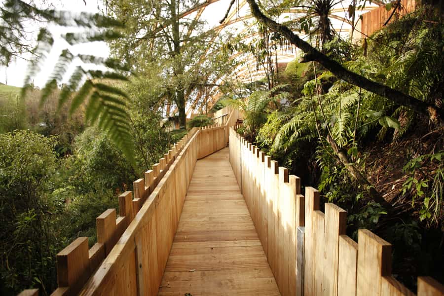 From Auckland: Waitomo Glowworm and Ruakuri Caves Day Tour - What to Bring and What to Leave Behind