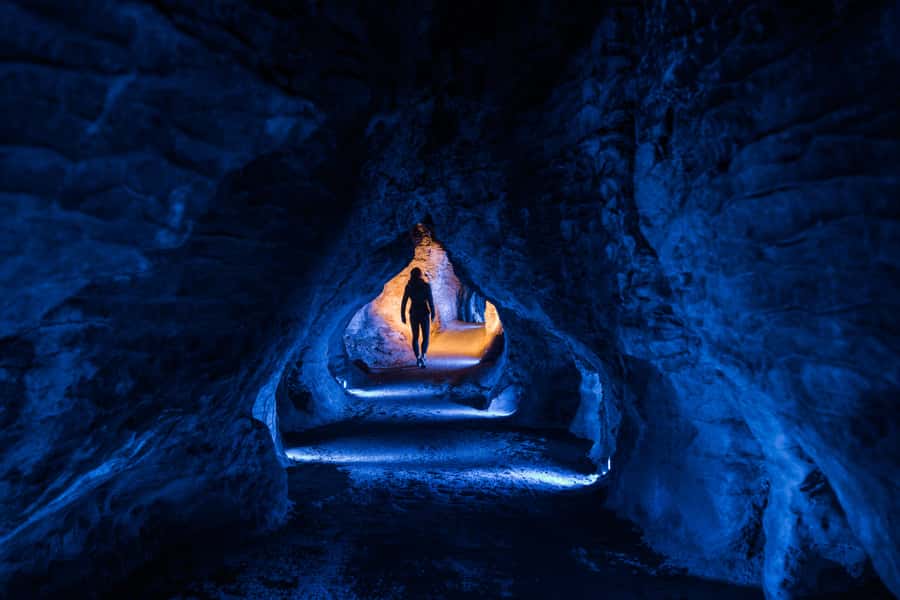 From Auckland: Waitomo Glowworm and Ruakuri Caves Day Tour - Who Should Book This Day Tour?