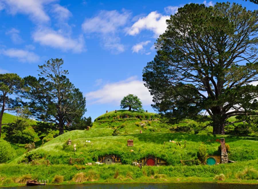 From Auckland: Waitomo & Hobbiton Bus Tour with Lunch - Key details before you book