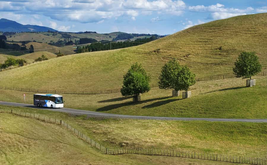 From Auckland: Waitomo & Hobbiton Bus Tour with Lunch - What the long schedule feels like