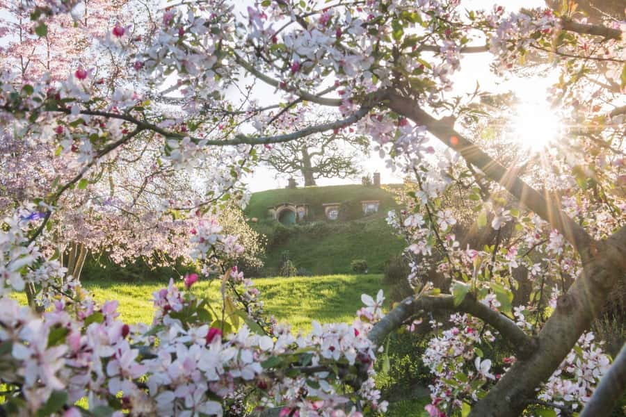 From Matamata: Guided Hobbiton Experience with Bus Transfers - Ending at the Green Dragon Inn