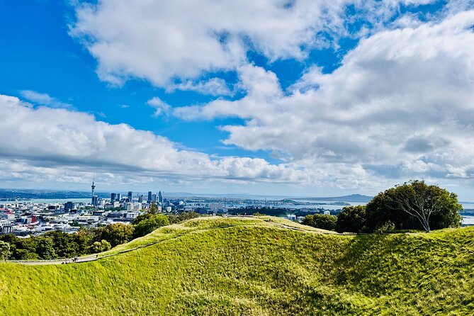 Full-Day Auckland Discovery - Key points to know before you book