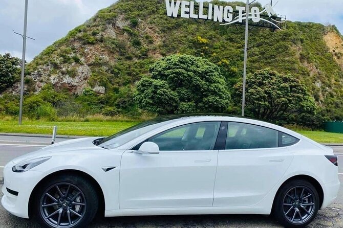 Full-Day Driver with Tesla Car-Customisable North Island Tour - Key points at a glance