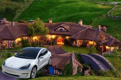 Full-Day Driver with Tesla Car-Customisable North Island Tour