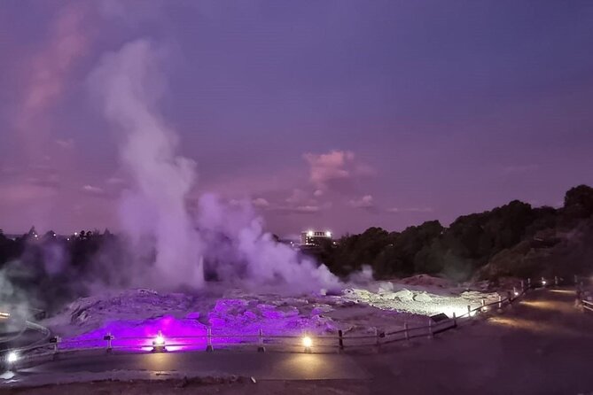 Full-Day Driver with Tesla Car-Customisable North Island Tour - Waitomo Glowworm Caves: an underground highlight