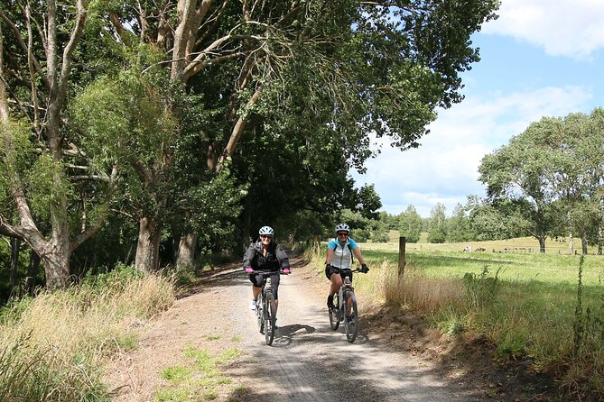 Full Day Ebike Tour in Karangahake Gorge (ex Auckland) - Why this gorge makes a fine day trip from Auckland